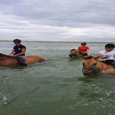 Quend-plage With Pool Quend